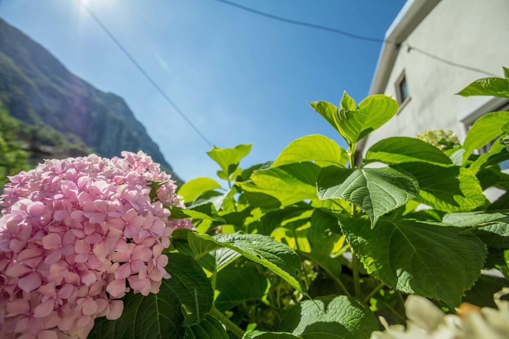 Farm Stay Ferjancic Vipava Exterior photo